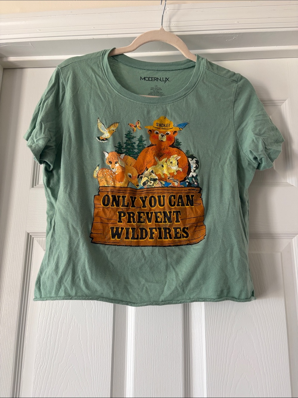 Modern Lux Kids Smokey Bear Graphic Tee in Sage Green